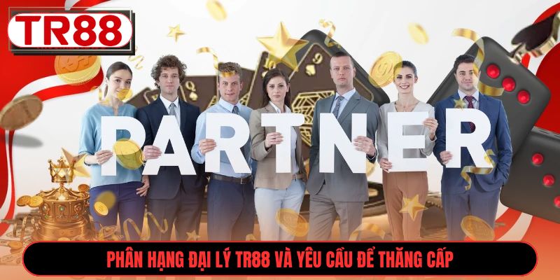 Phân hạng Đại Lý TR88 và yêu cầu để thăng cấp